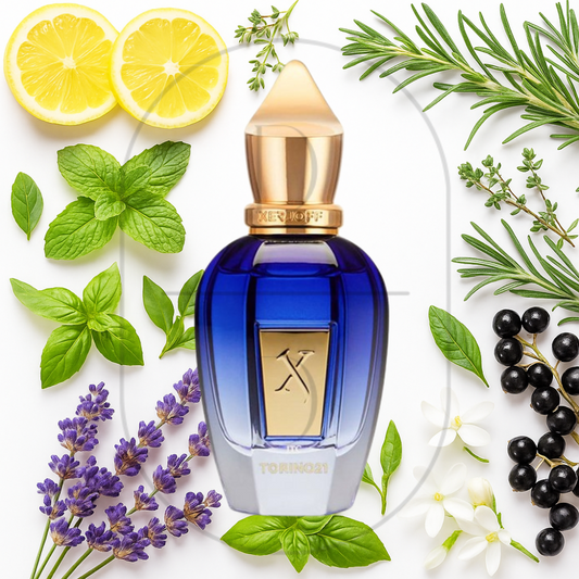 Xerjoff Torino 21 perfume bottle surrounded by top, middle, and bottom fragrance notes on a light background. Affordable samples delivered from Greenville, SC. 