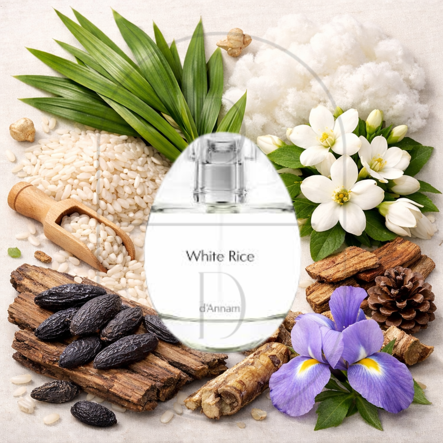 d"Annam White Rice perfume bottle surrounded by top, middle, and bottom fragrance notes on a light background. Affordable samples delivered from Greenville, SC. 